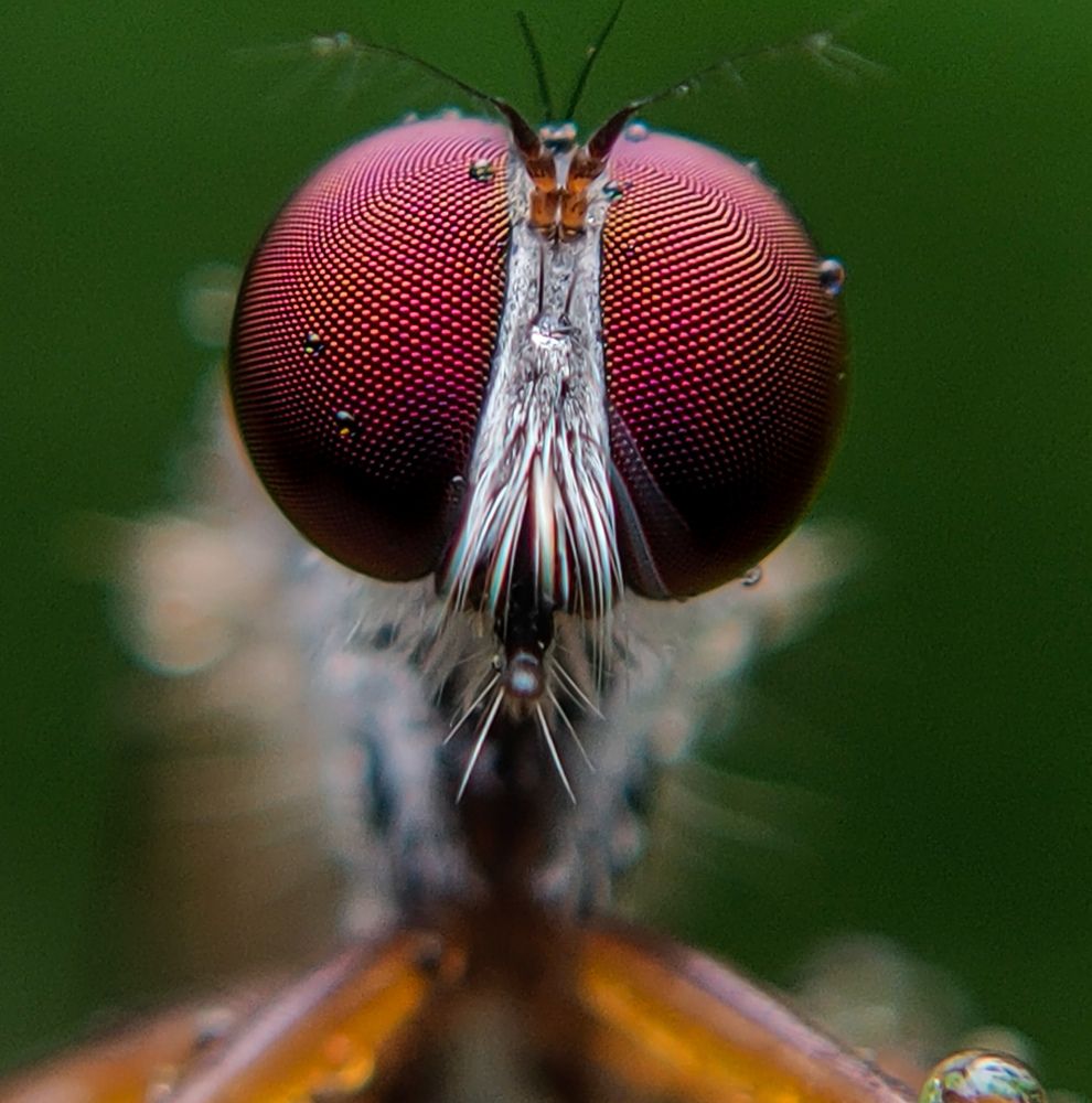 Photograph by Ajeesh A