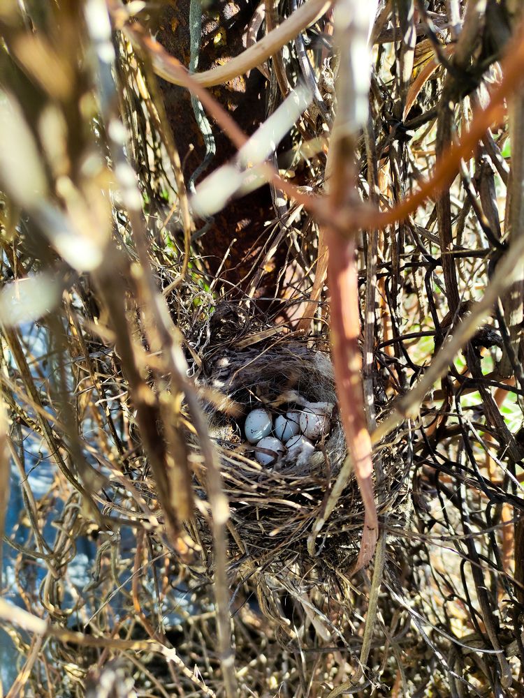 Photograph by Александр Сомов