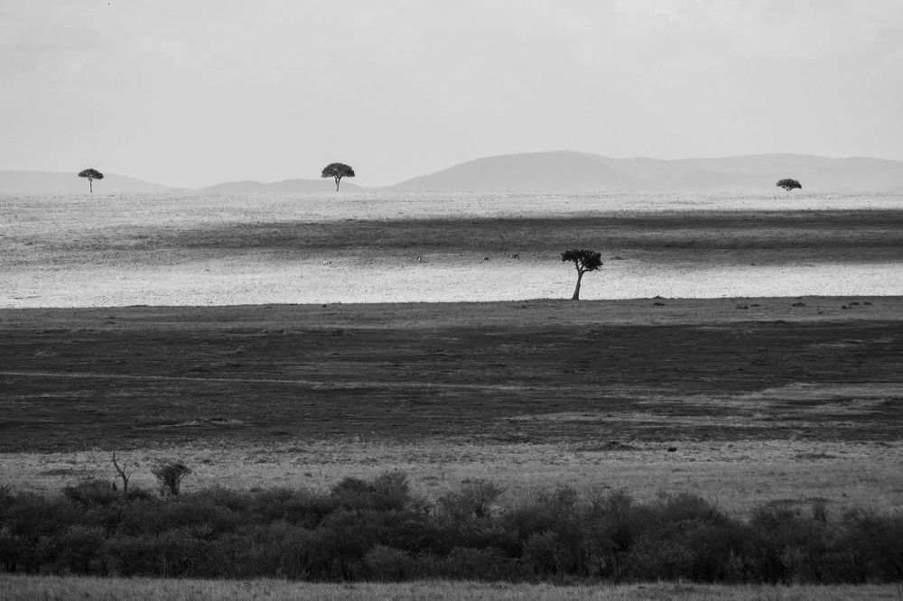 Photograph by Victor Belokrinitski