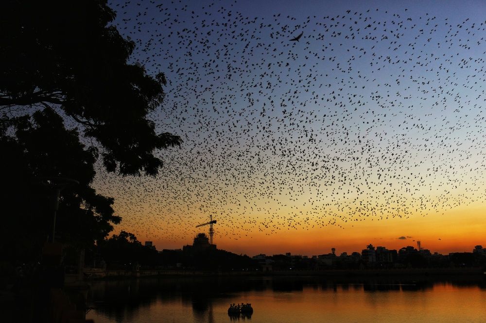 Photograph by Aastha Vyas