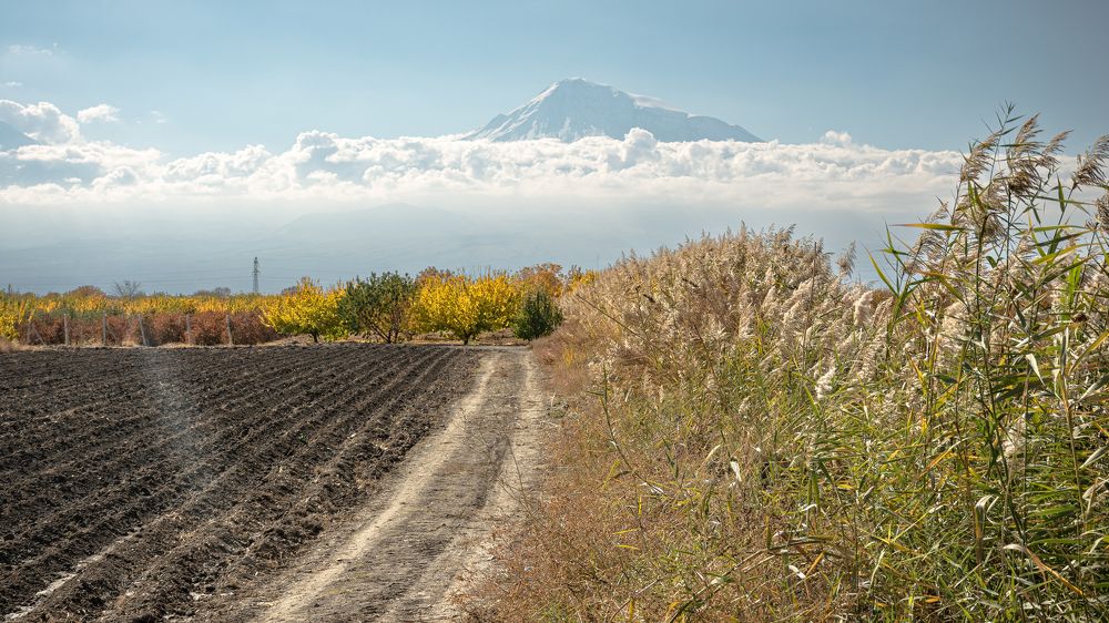 Photograph by Наталья Кокорина