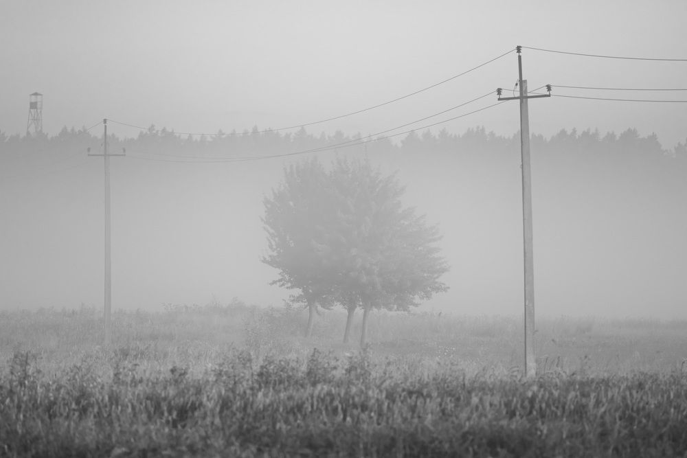 Photograph by Владимир Ликман