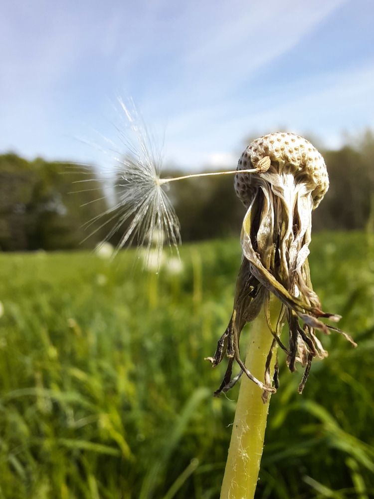 Photograph by Alexandra Fahn