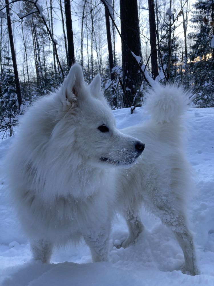 Photograph by Jelena Smala