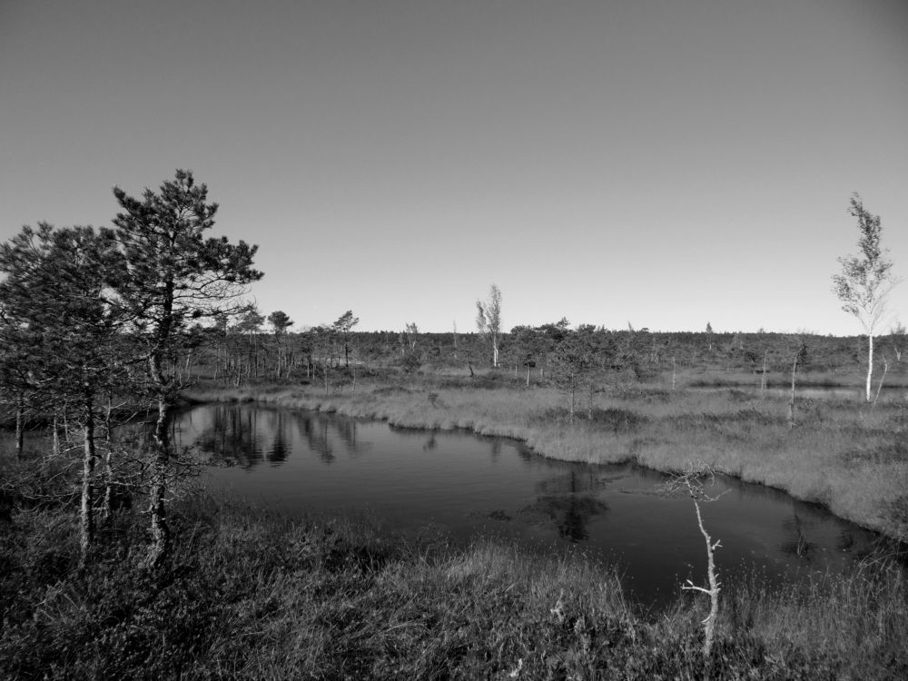 Photograph by Jelena Smala