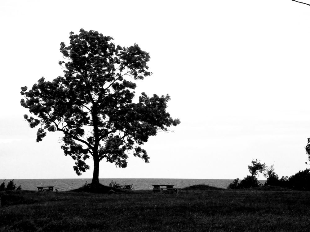 Photograph by Jelena Smala