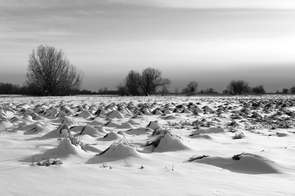 Photograph by Елена Брынько