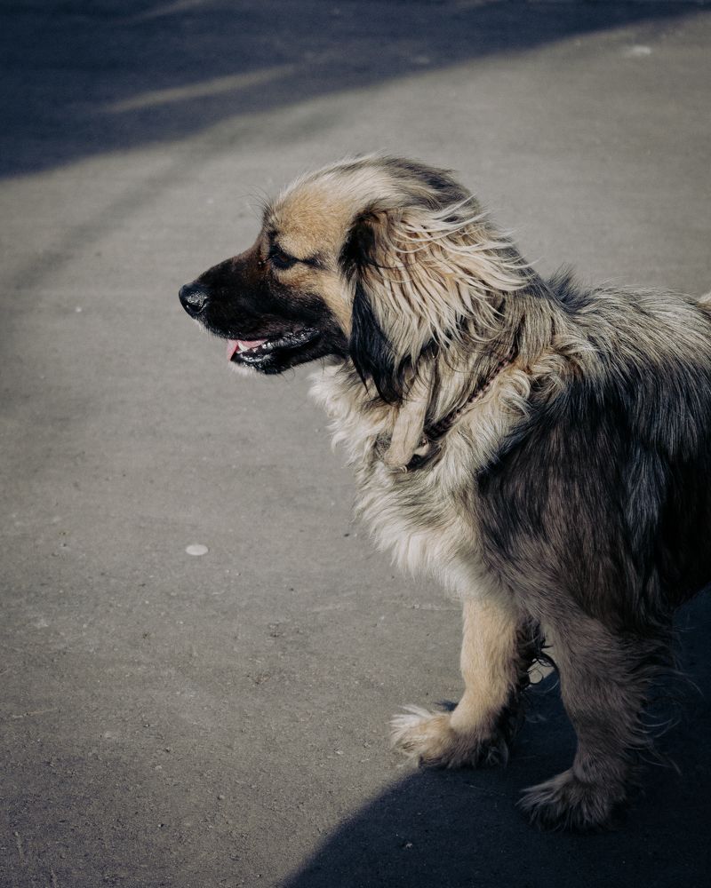 Случайный прохожий