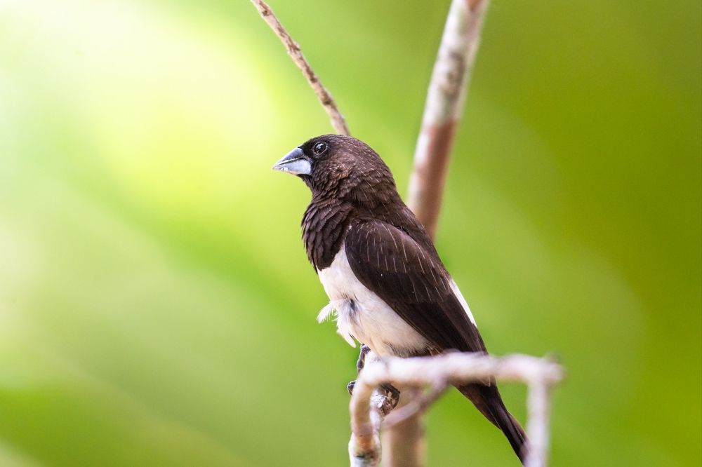 Photograph by Osanda Indumina Somaratna