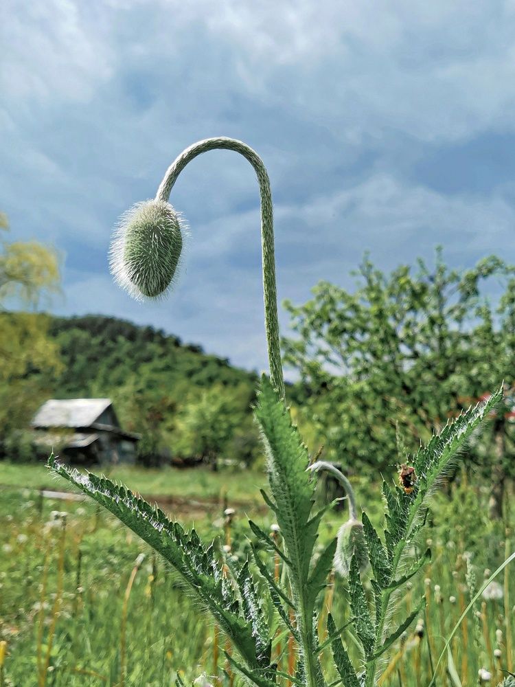 Photograph by Жанна Баннова