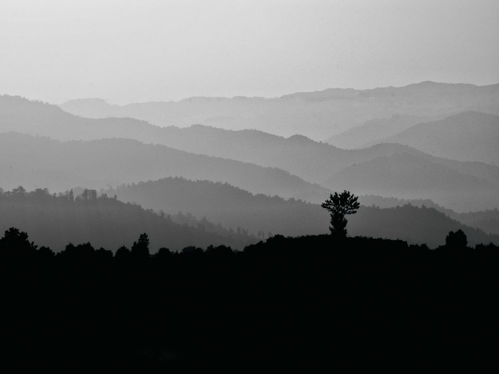 Photograph by Reza Heydari