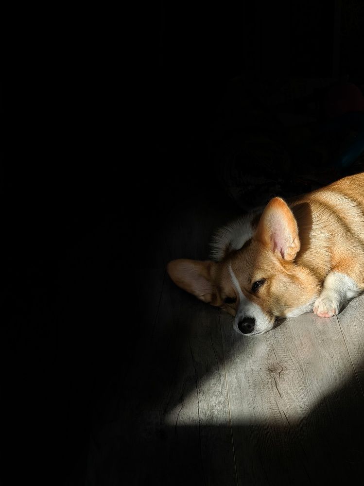 Photograph by Светлана Смирнова