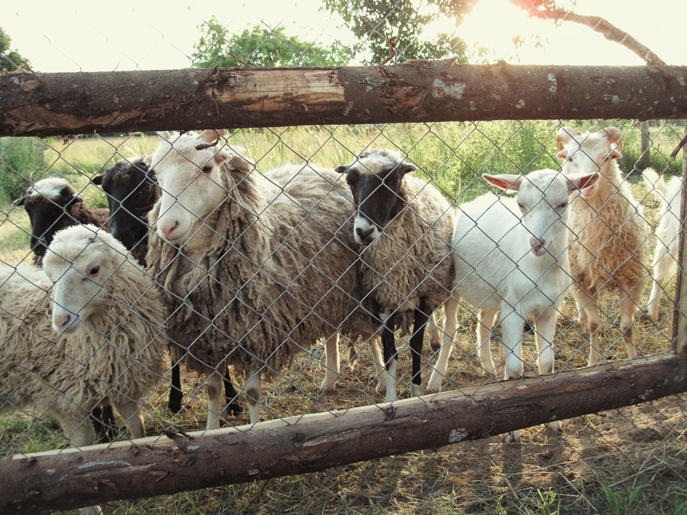 Photograph by Инесса Громова