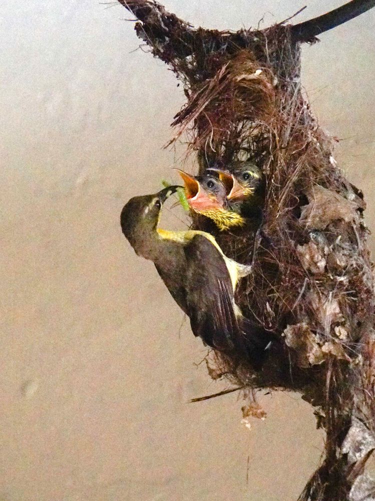 Photograph by Altarejos Andrew