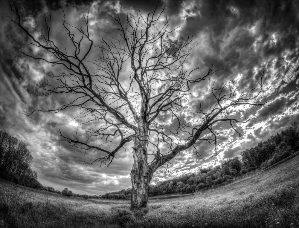 Photograph by Dani Wieczorek