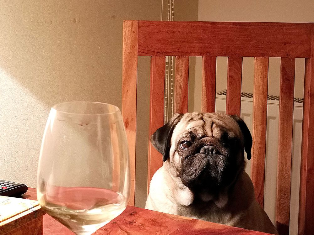 Photograph by Marina Razheva