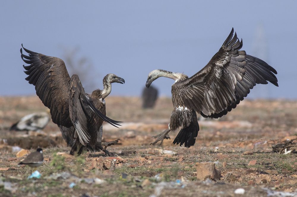 Photograph by Manish Arya