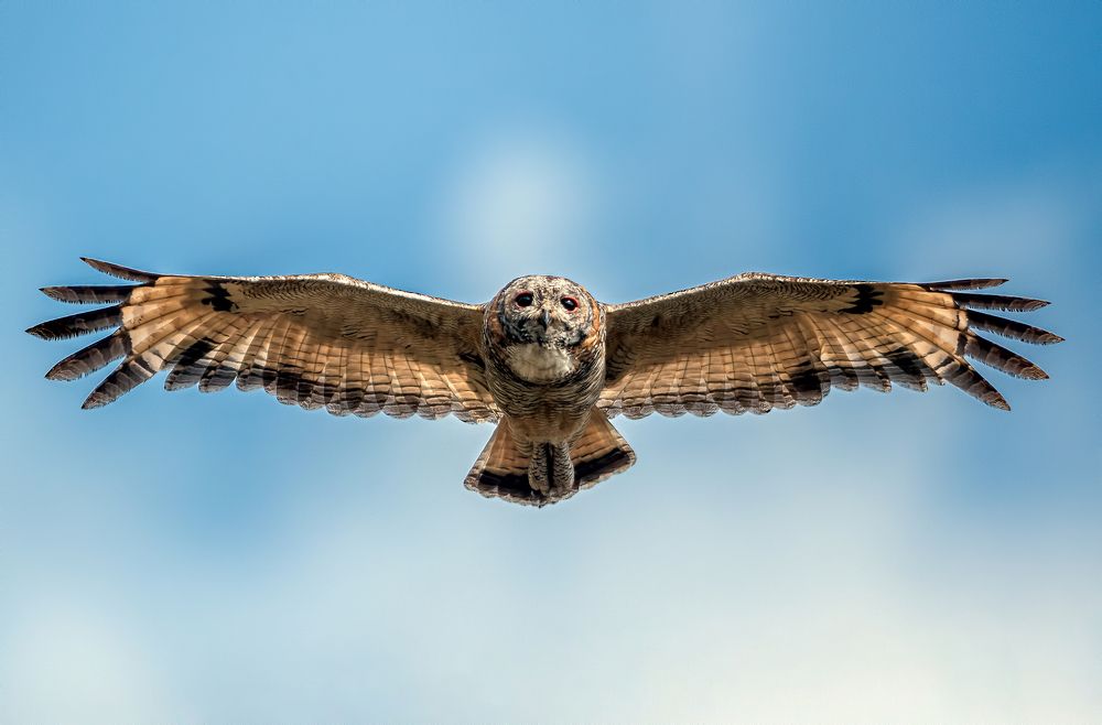 Фотография автора Manish Nikte