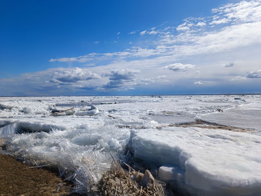 Photograph by Марина Калинина