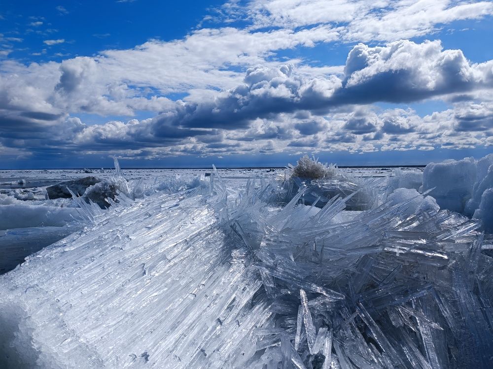 Photograph by Марина Калинина