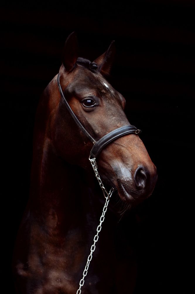 Photograph by Любовь Похабова