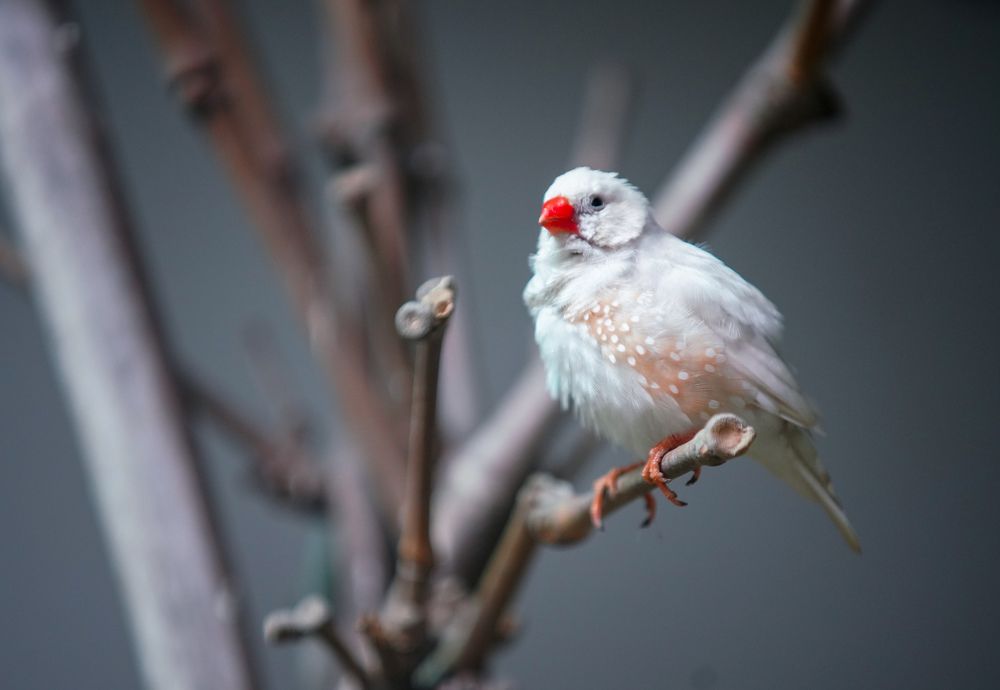 Photograph by Saurabh