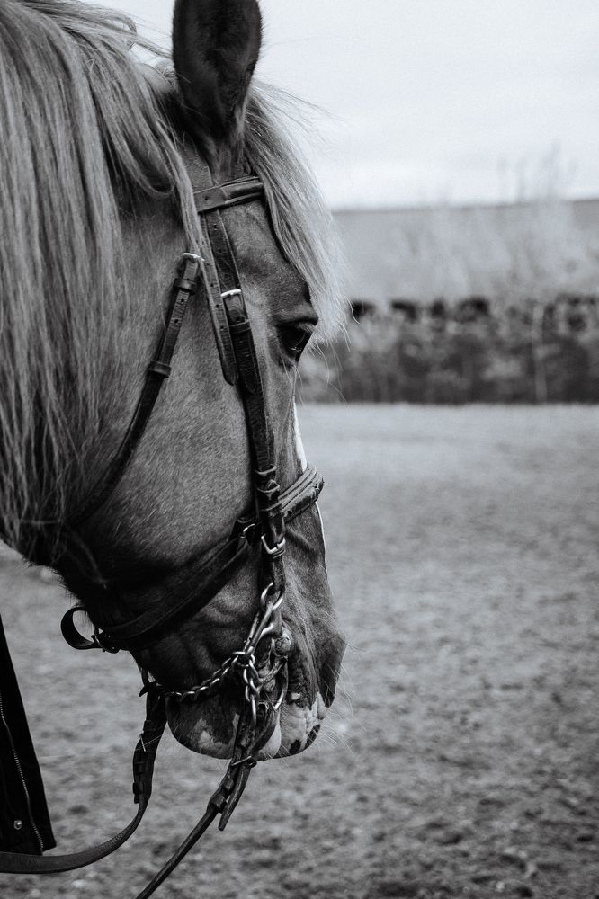 Photograph by Сергей Суслов