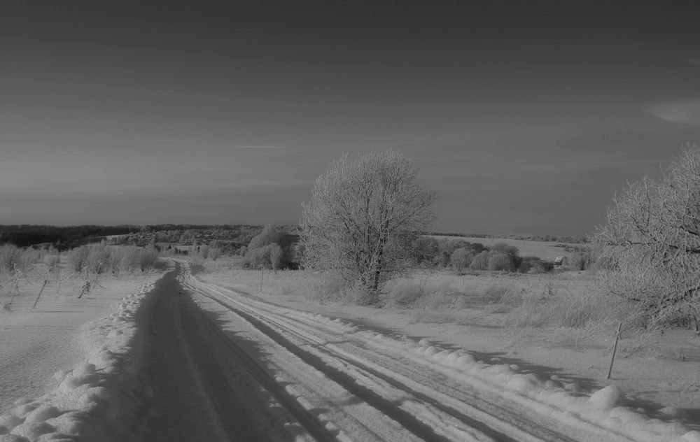 Photograph by Мария Колоскова