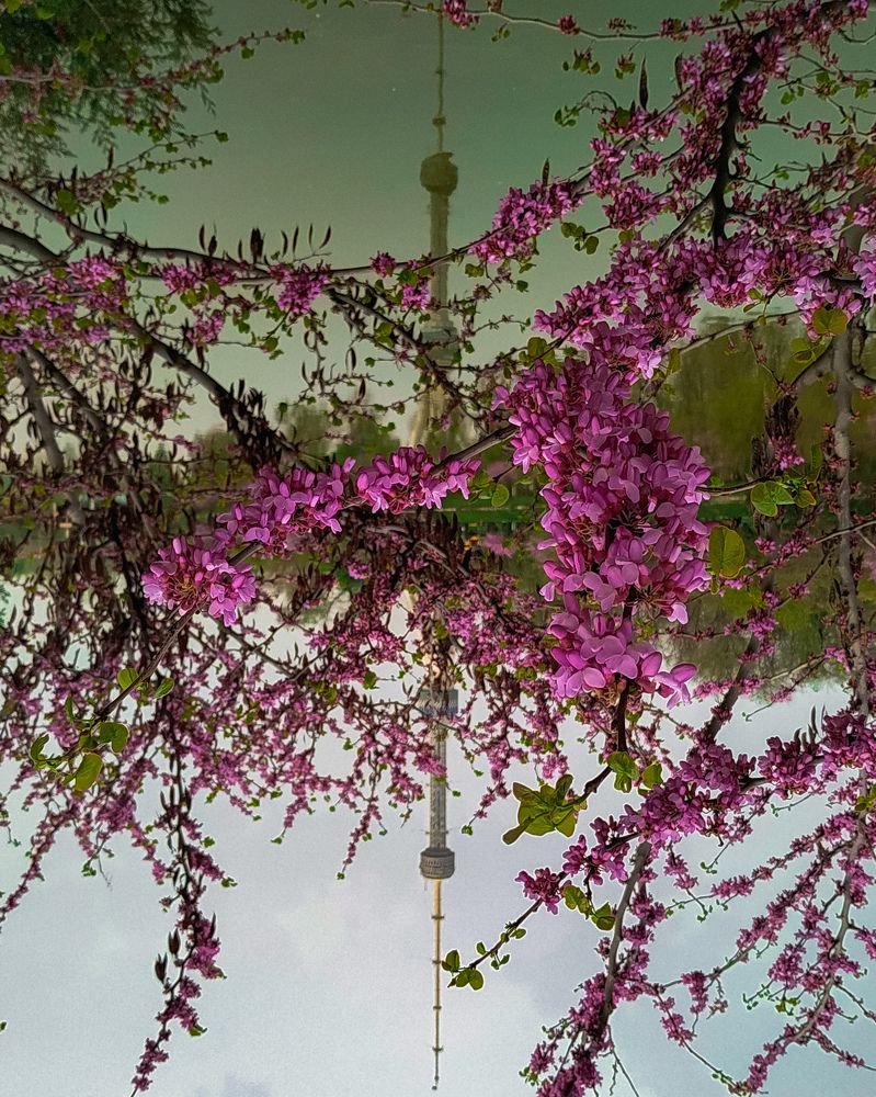 Photograph by Нигора Каримова
