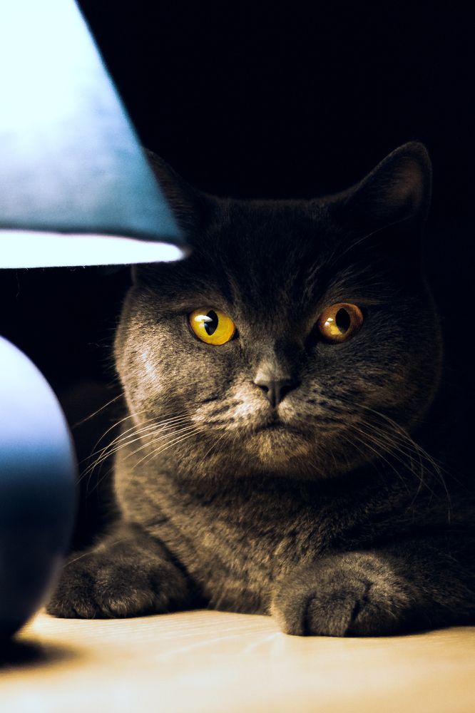 Photograph by Роман Никифоров