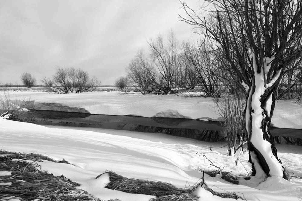 Photograph by Елена Брынько