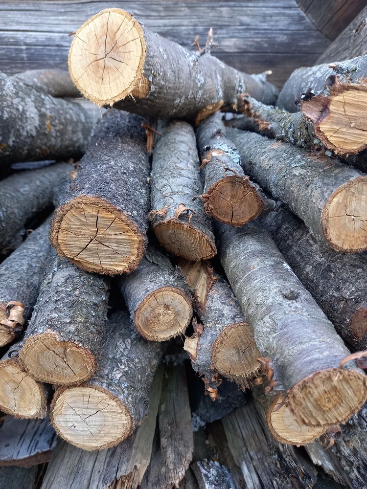 Photograph by Татьяна Иванова - Трускова