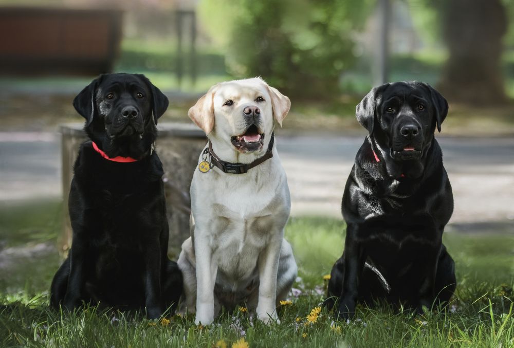 Photograph by Кристина Чижмар