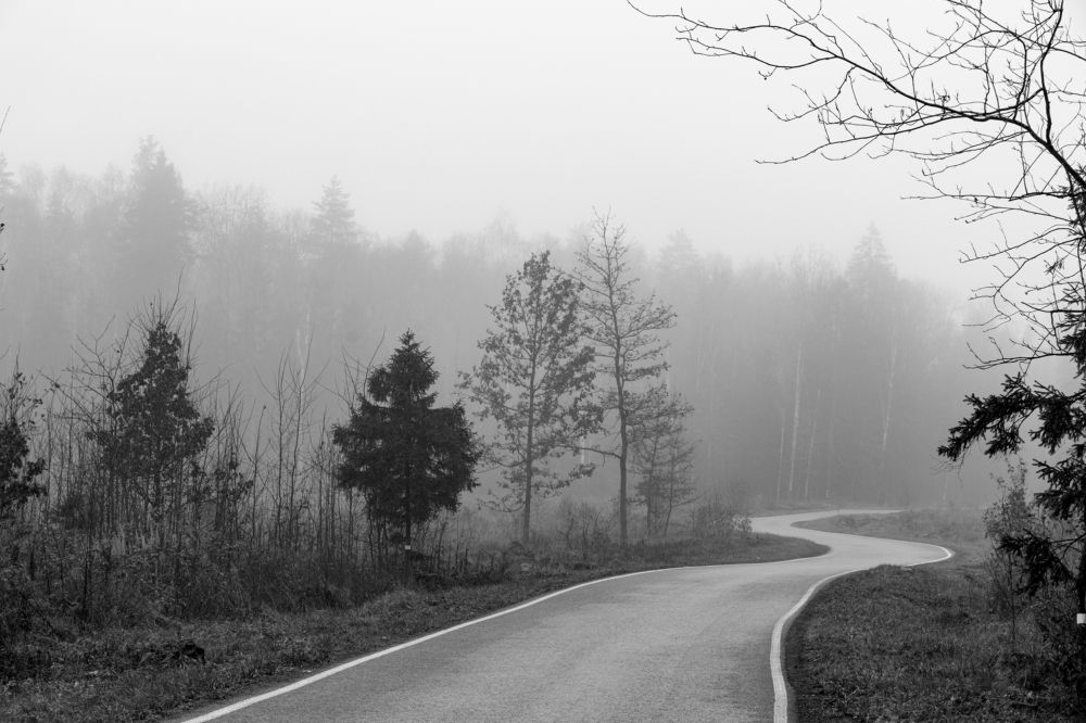 Photograph by Илья Пономарев