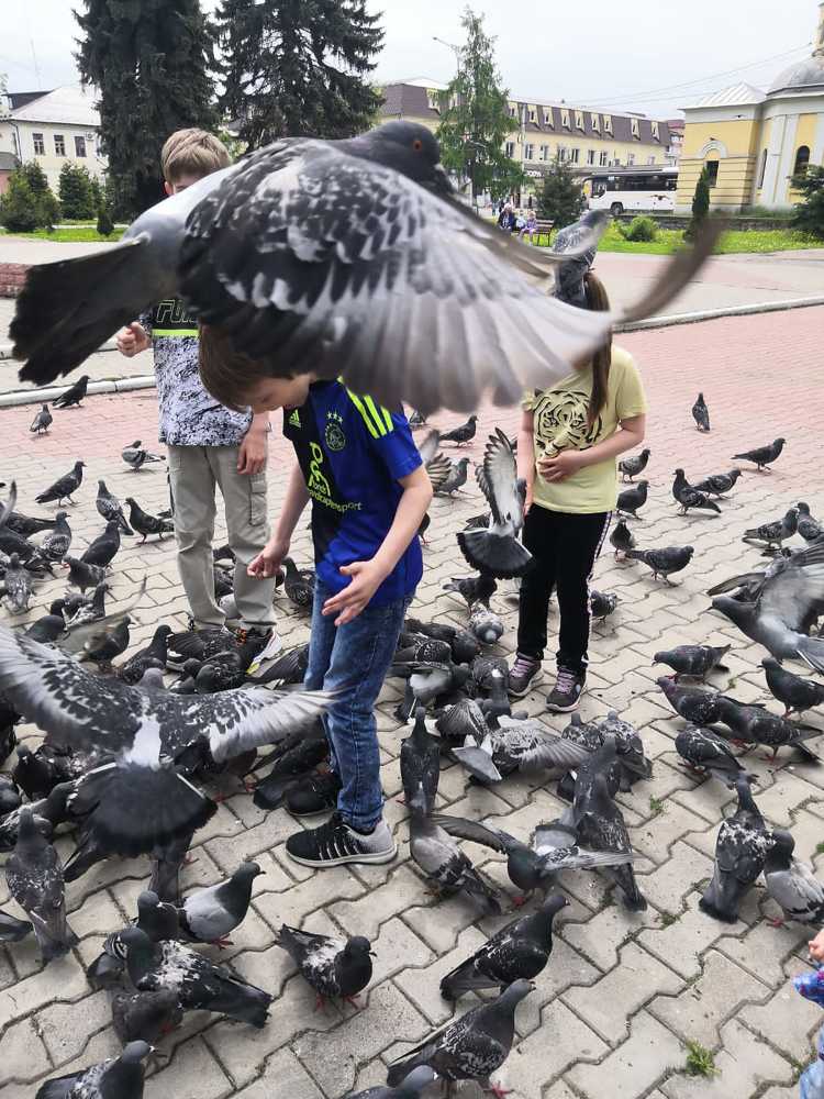 Голуби и детки.