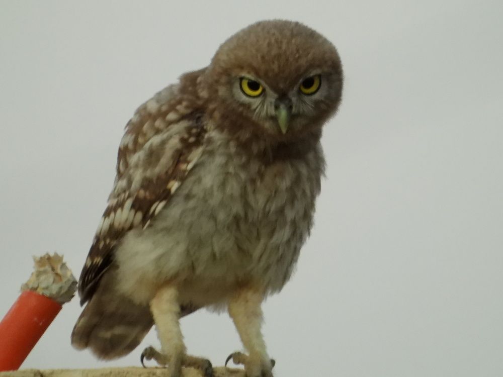 Фотография автора Fadi kassem