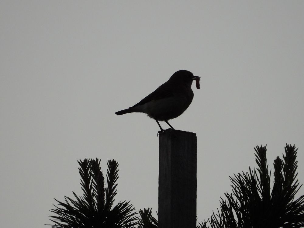 Фотография автора Fadi kassem