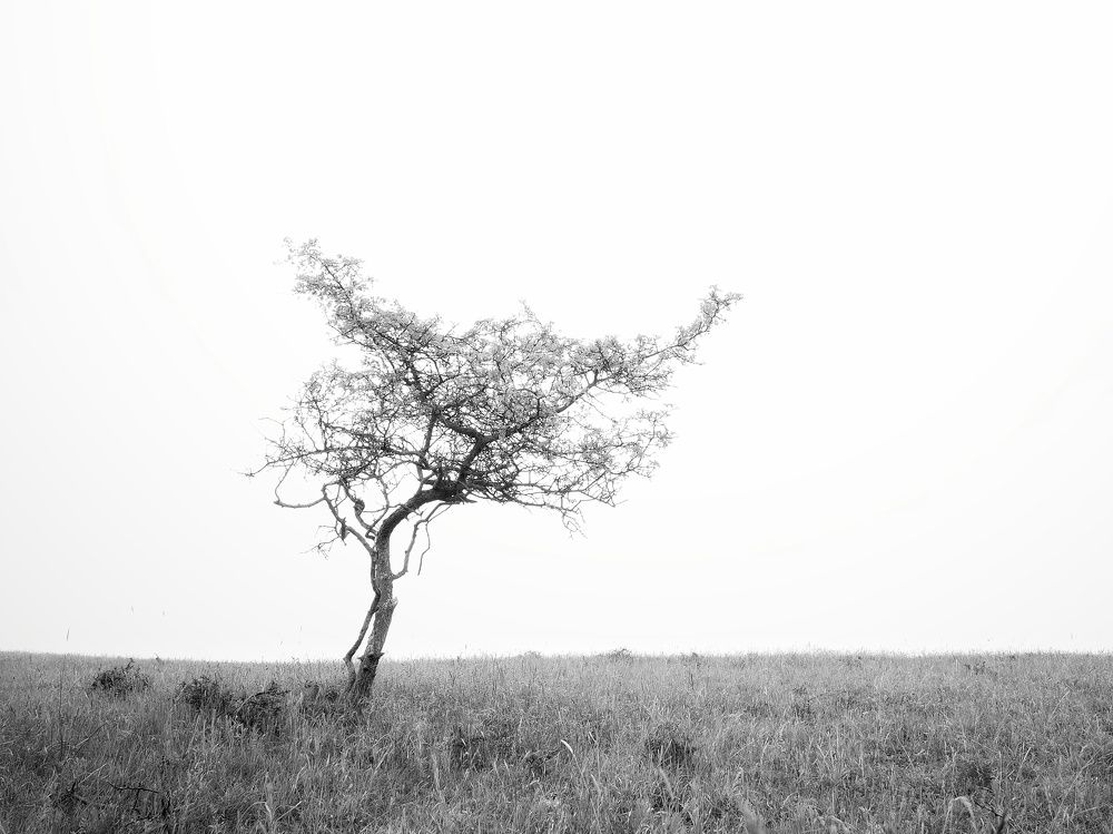 Photograph by George Vup