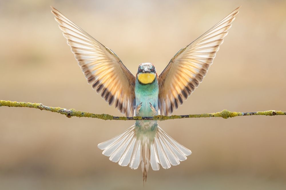 Photograph by Unai Larraya