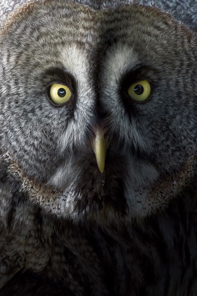 Photograph by Unai Larraya