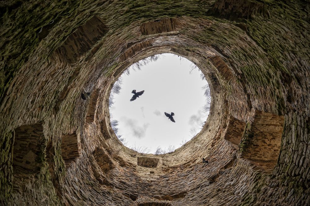 Photograph by Евгений Гусев