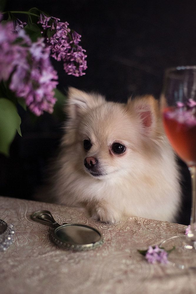 Photograph by Марго Лимп