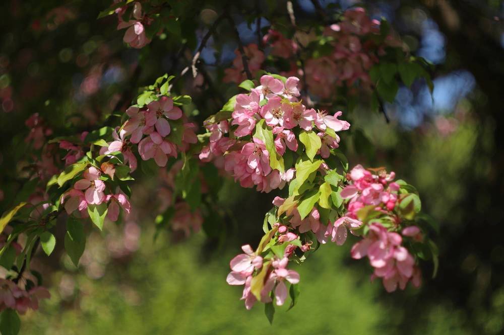 Photograph by Константин Лагоденко