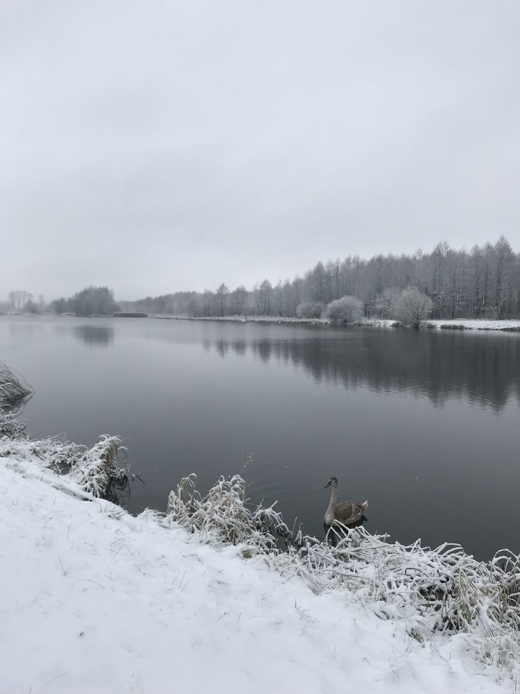 Зима у озера