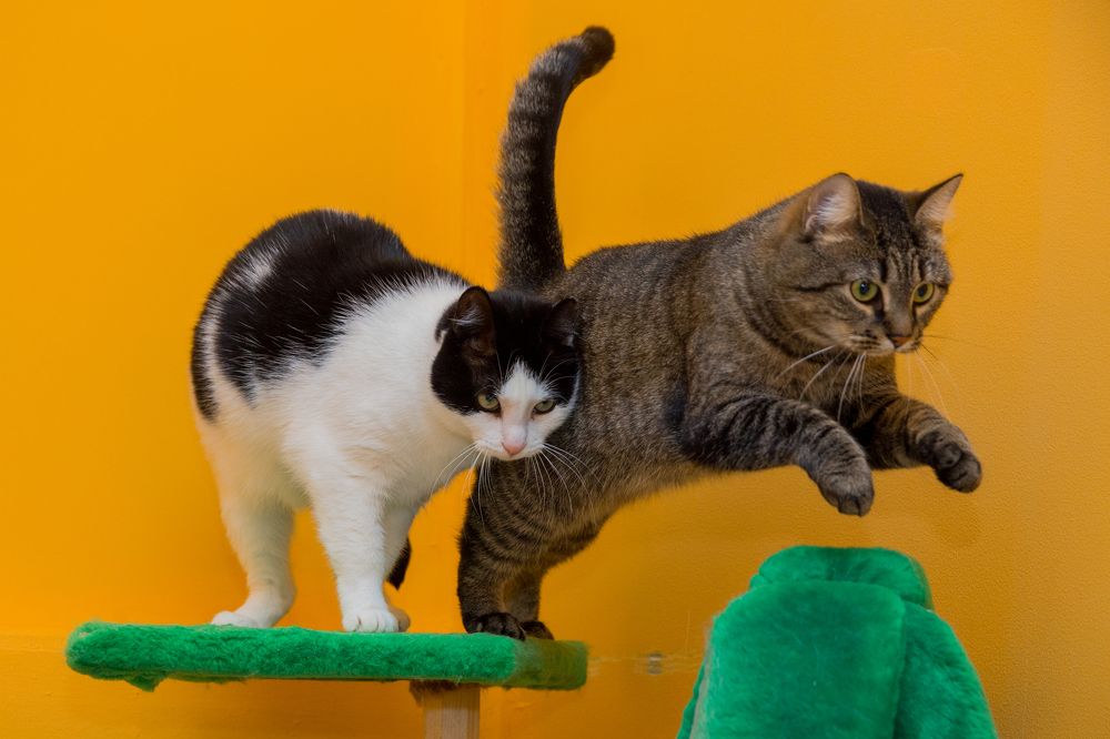 Photograph by Инна Юдина