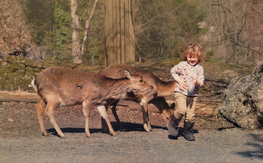 Photograph by Elena Wymann