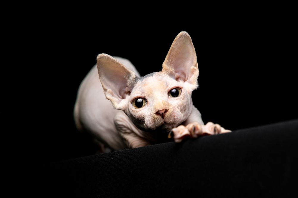 Photograph by Ильяс Бекмансуров