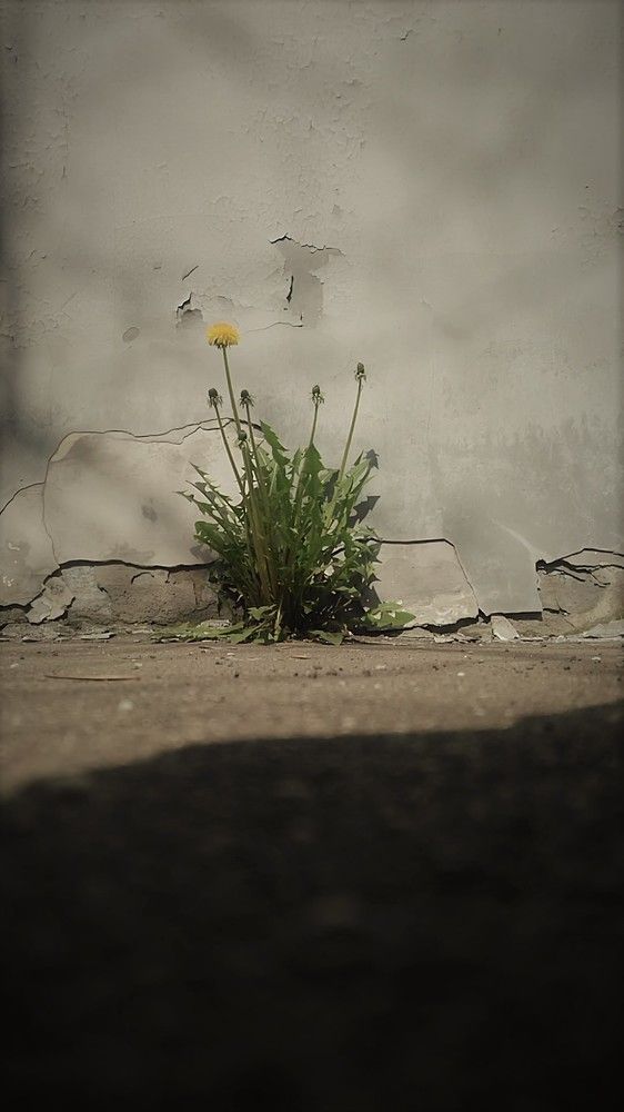 Photograph by Галина Кубышкина