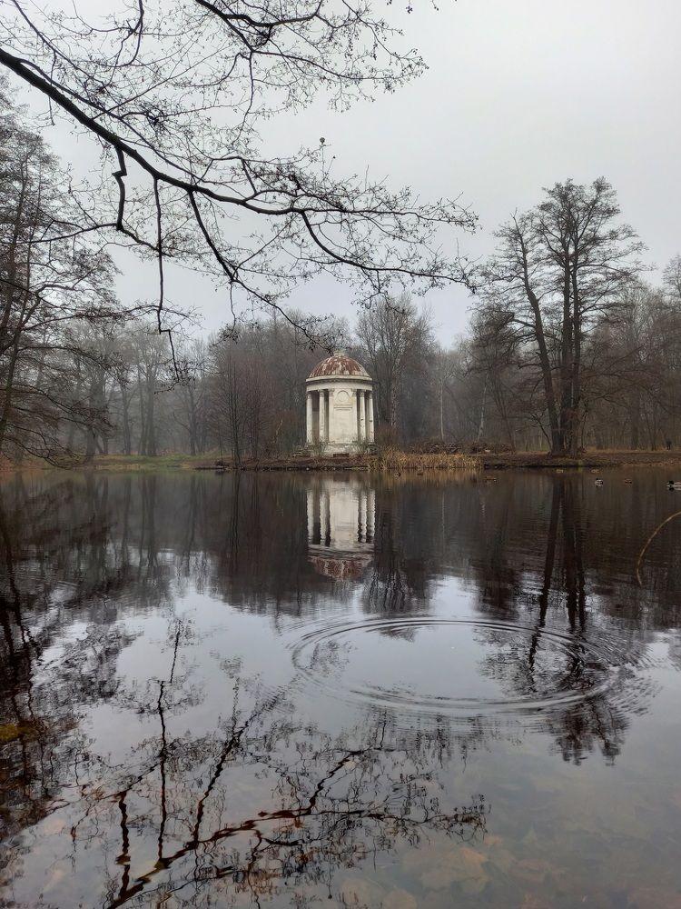 Photograph by Анна Шепелева