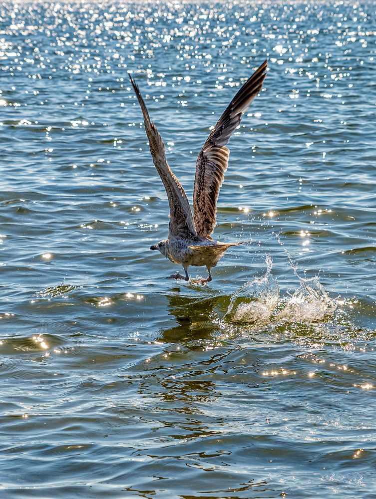 Photograph by Леонид Соболев